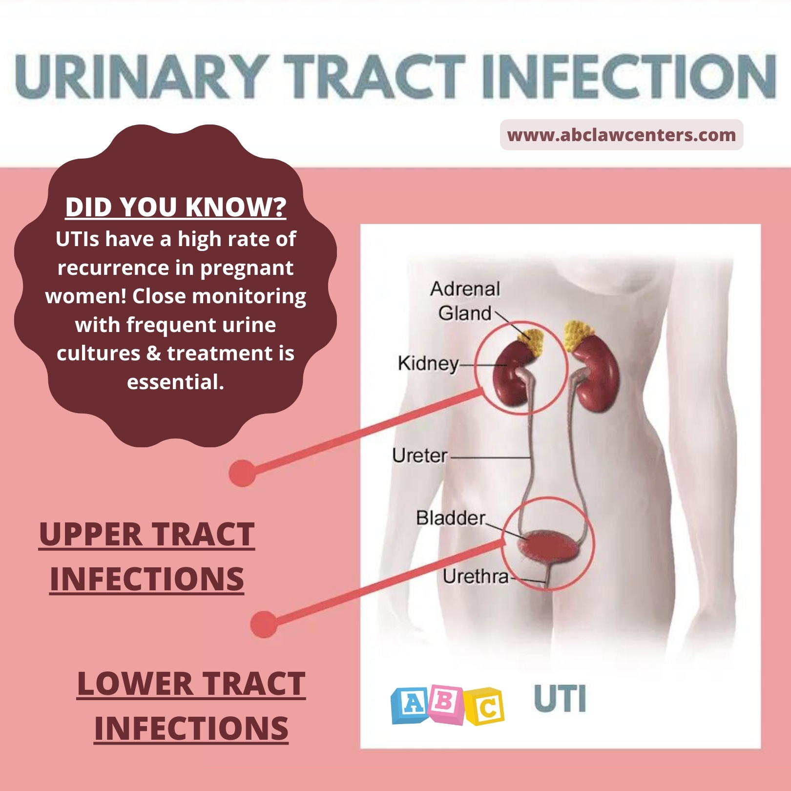 Free Vectors  Pregnant women with frequent urinary tract